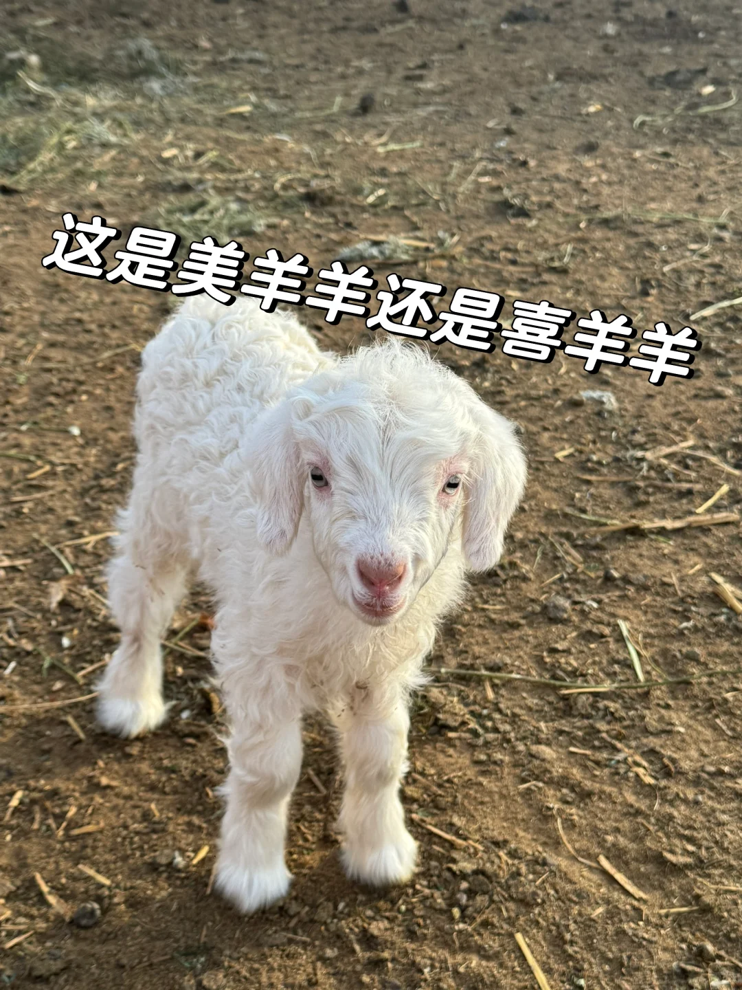 С˭ҵѽ