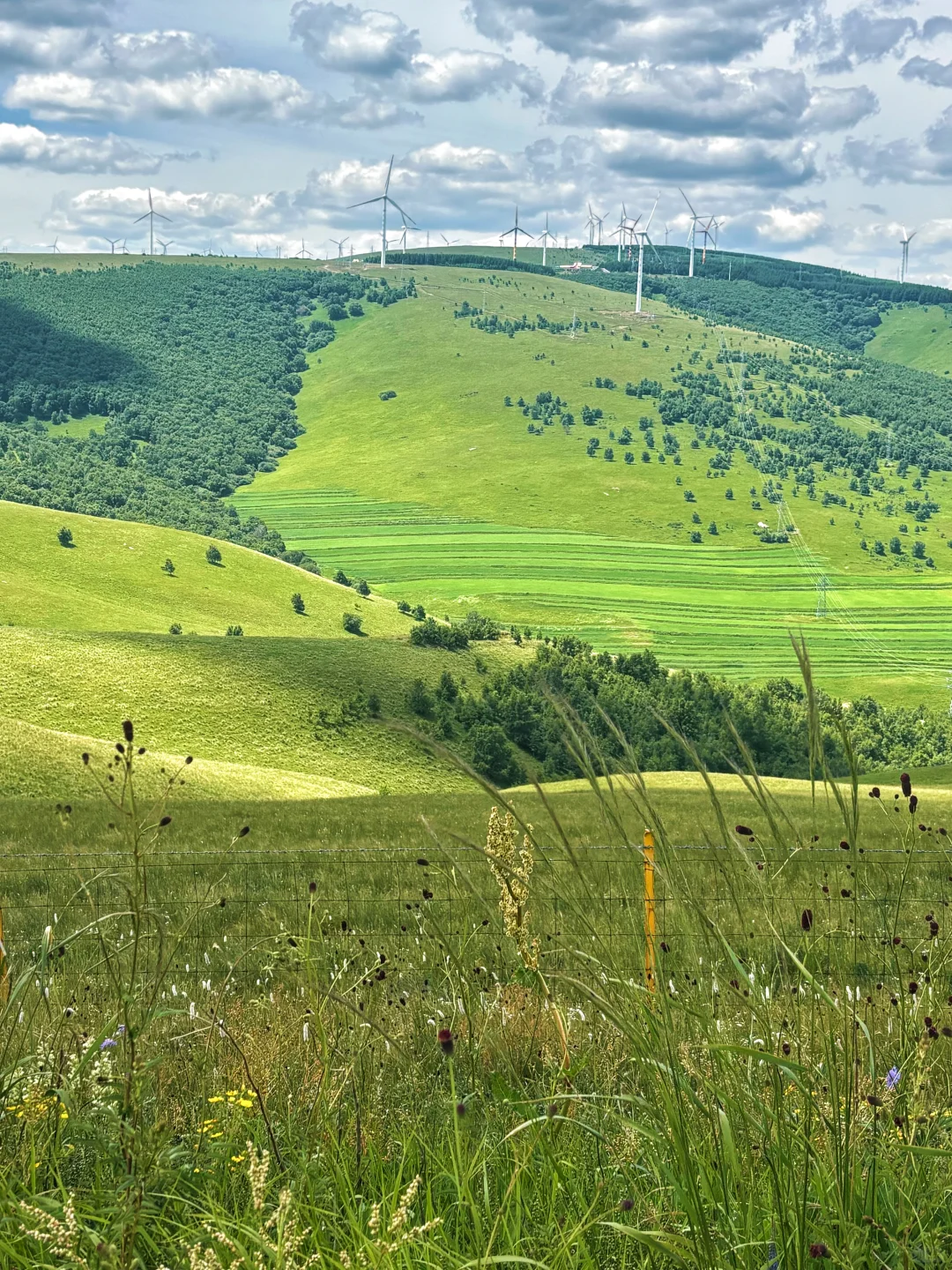 ɹŰ ҷ