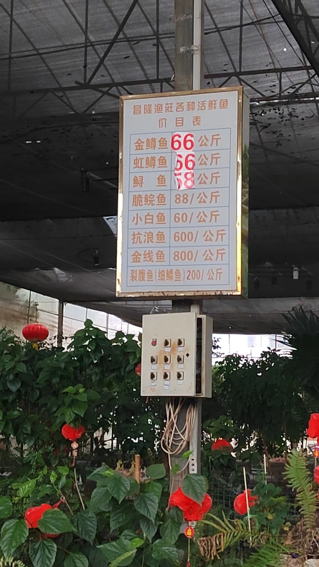 ѰԺ