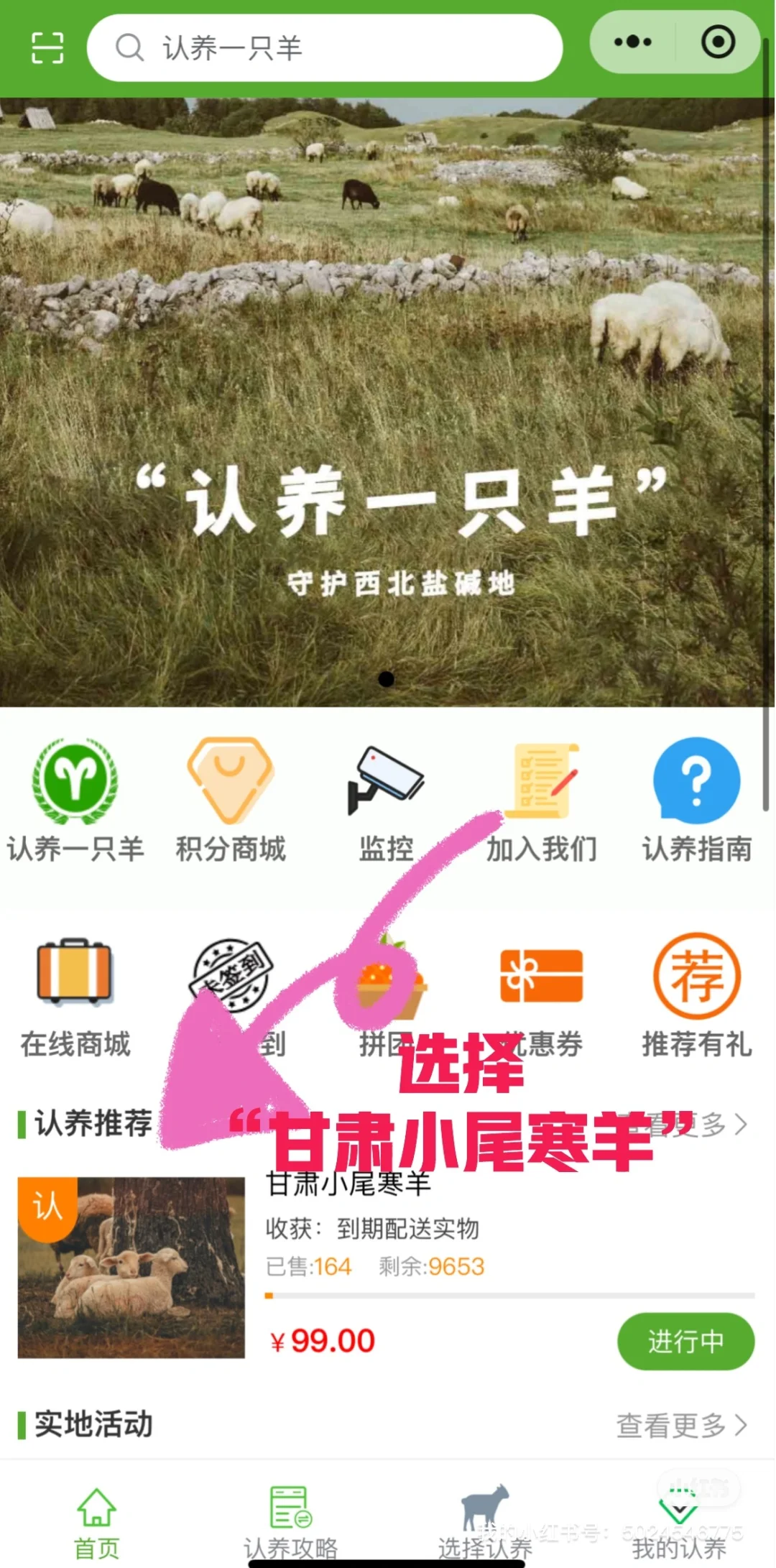 认养一只羊开启云养宠!你怎么还没领到
