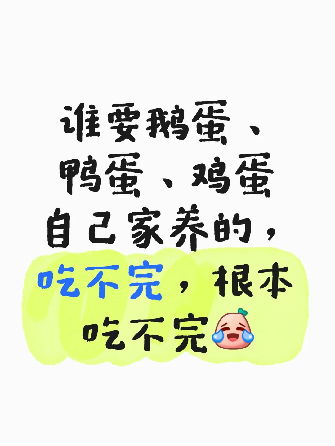 쵰ѼҪ
