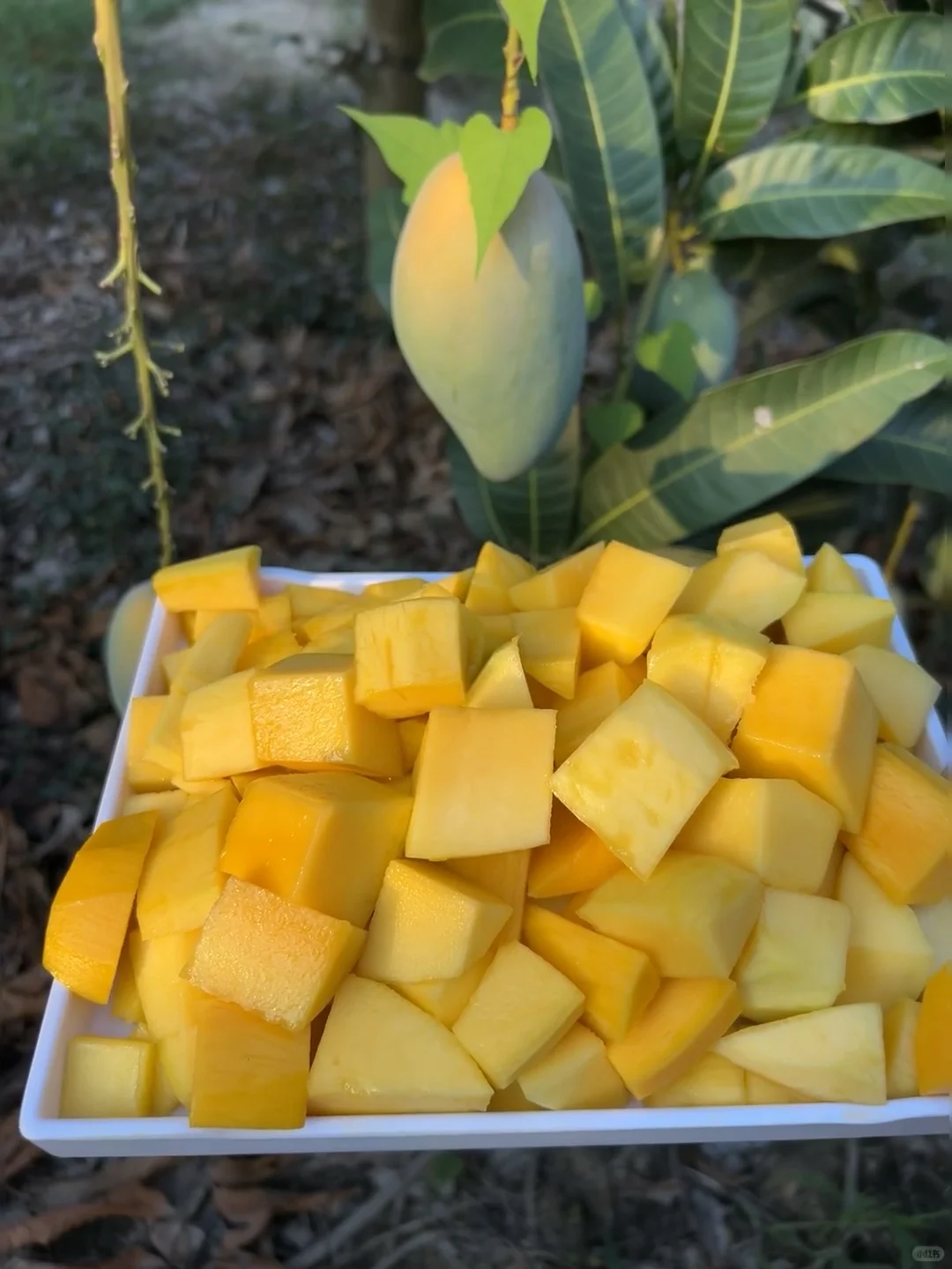 Ұ˵˱ǿһ1Ǯ
