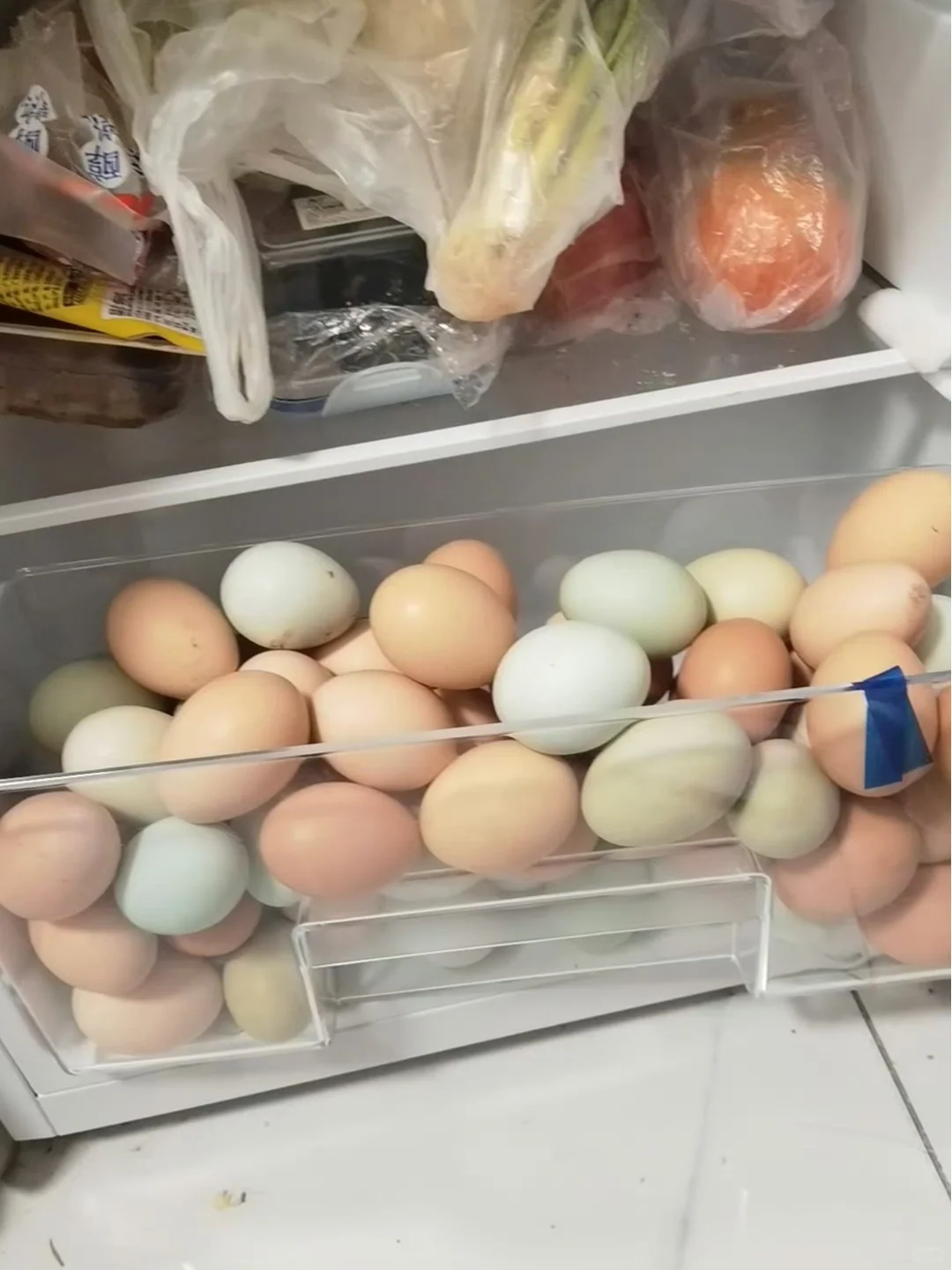 Լ˵ͶιҪ