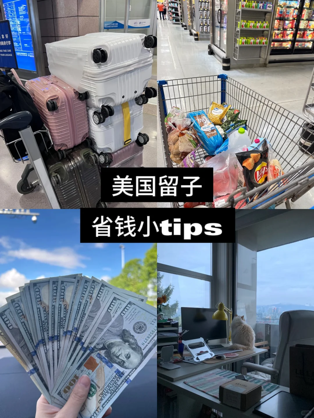 һͥʡ?Сtips