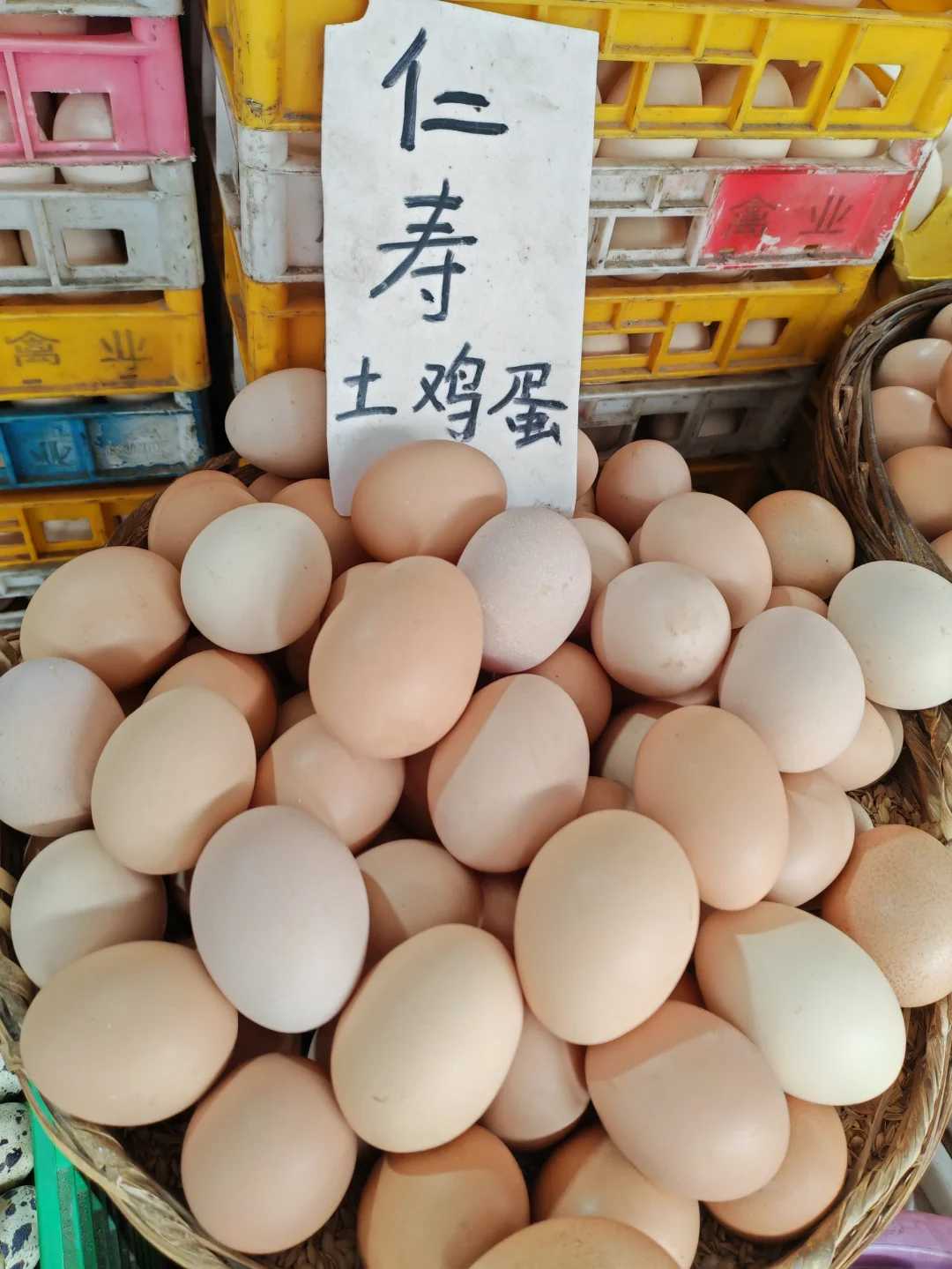 ţɶ˵ļ?