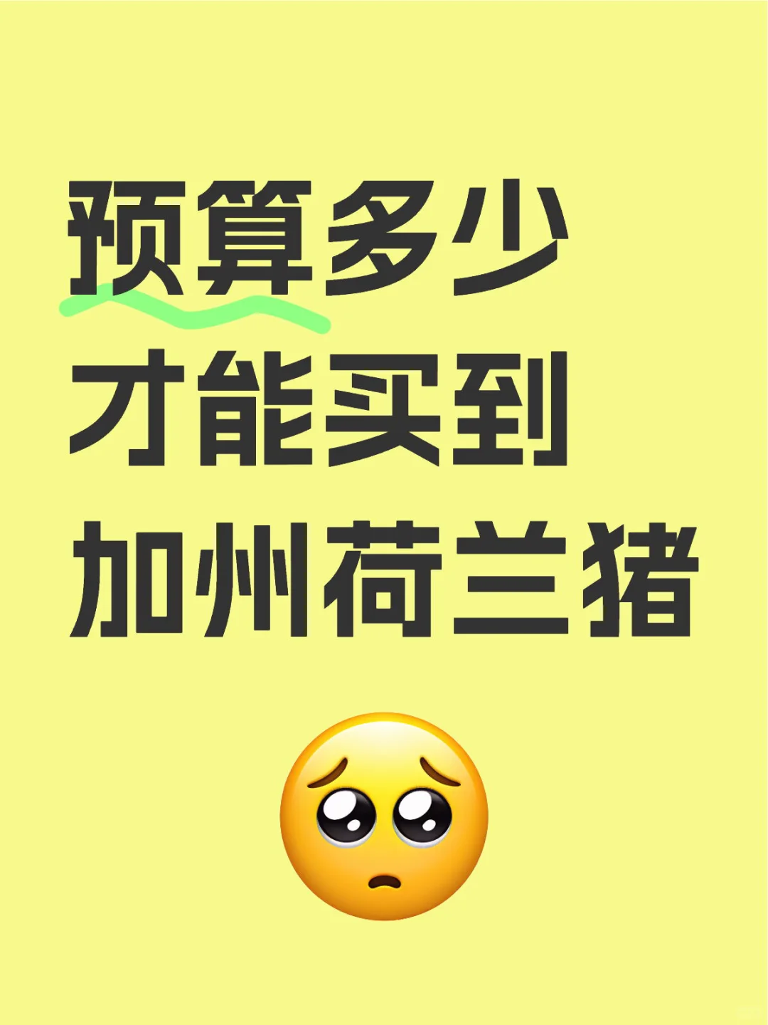 ݺǶ?οһ