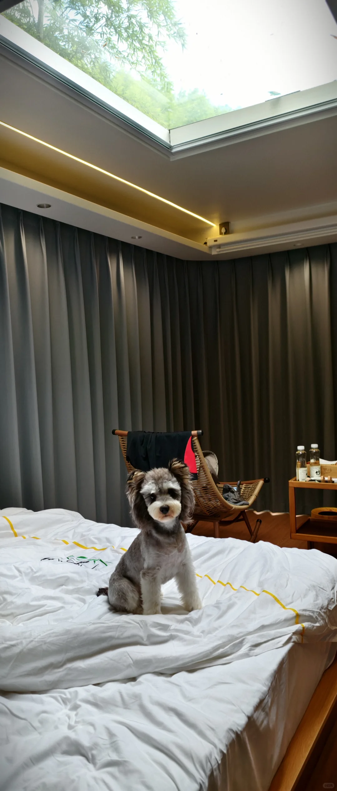 һҪסһ촰??