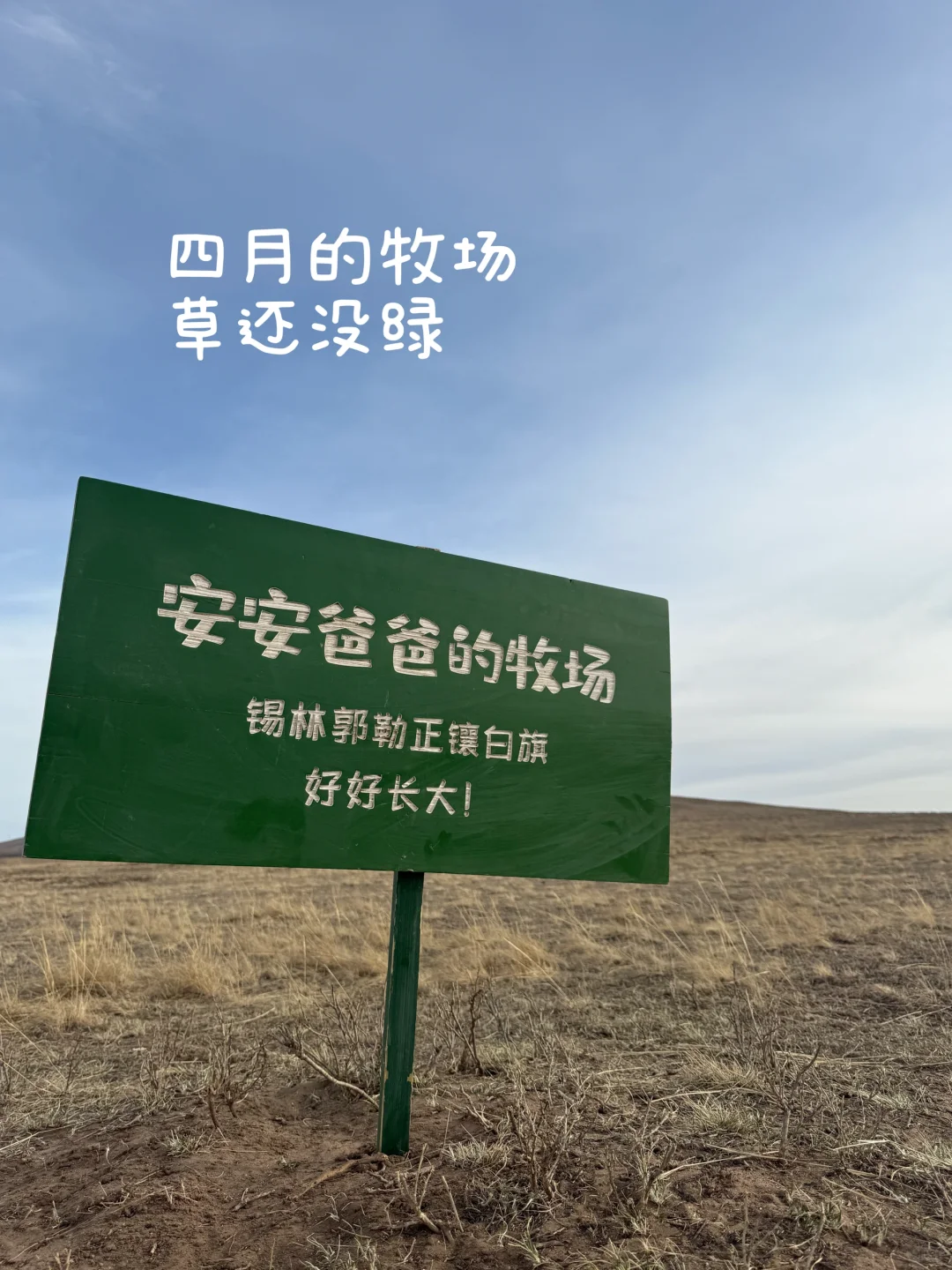 ʵQQũ