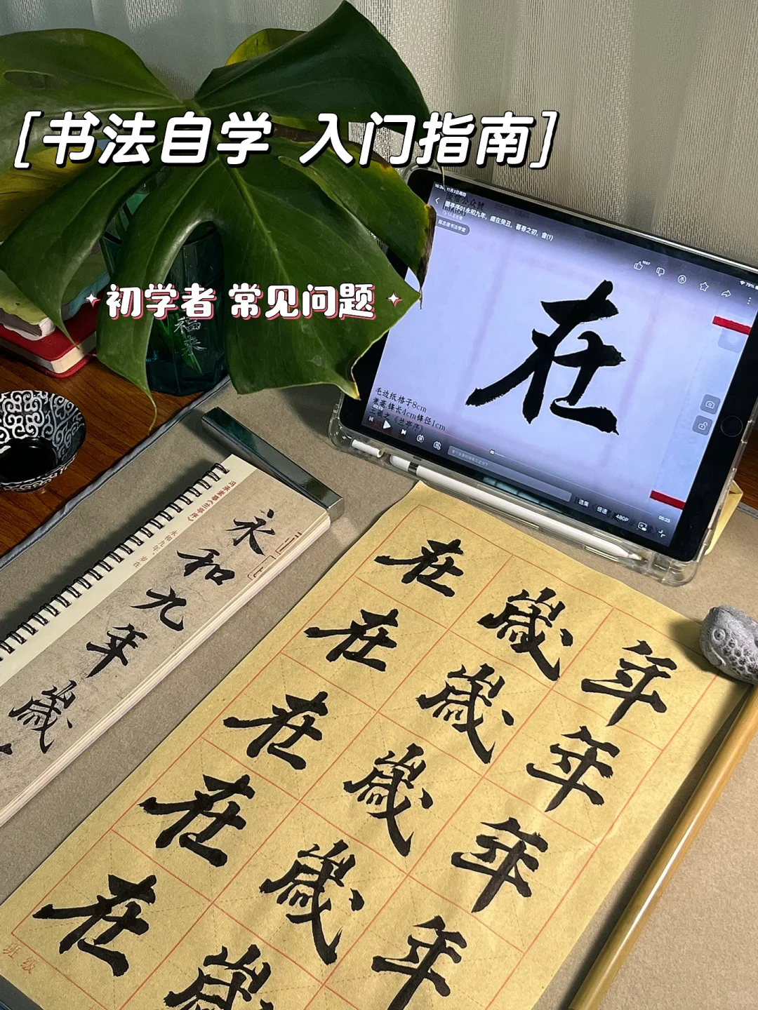 ѧ鷨Ҷܽ