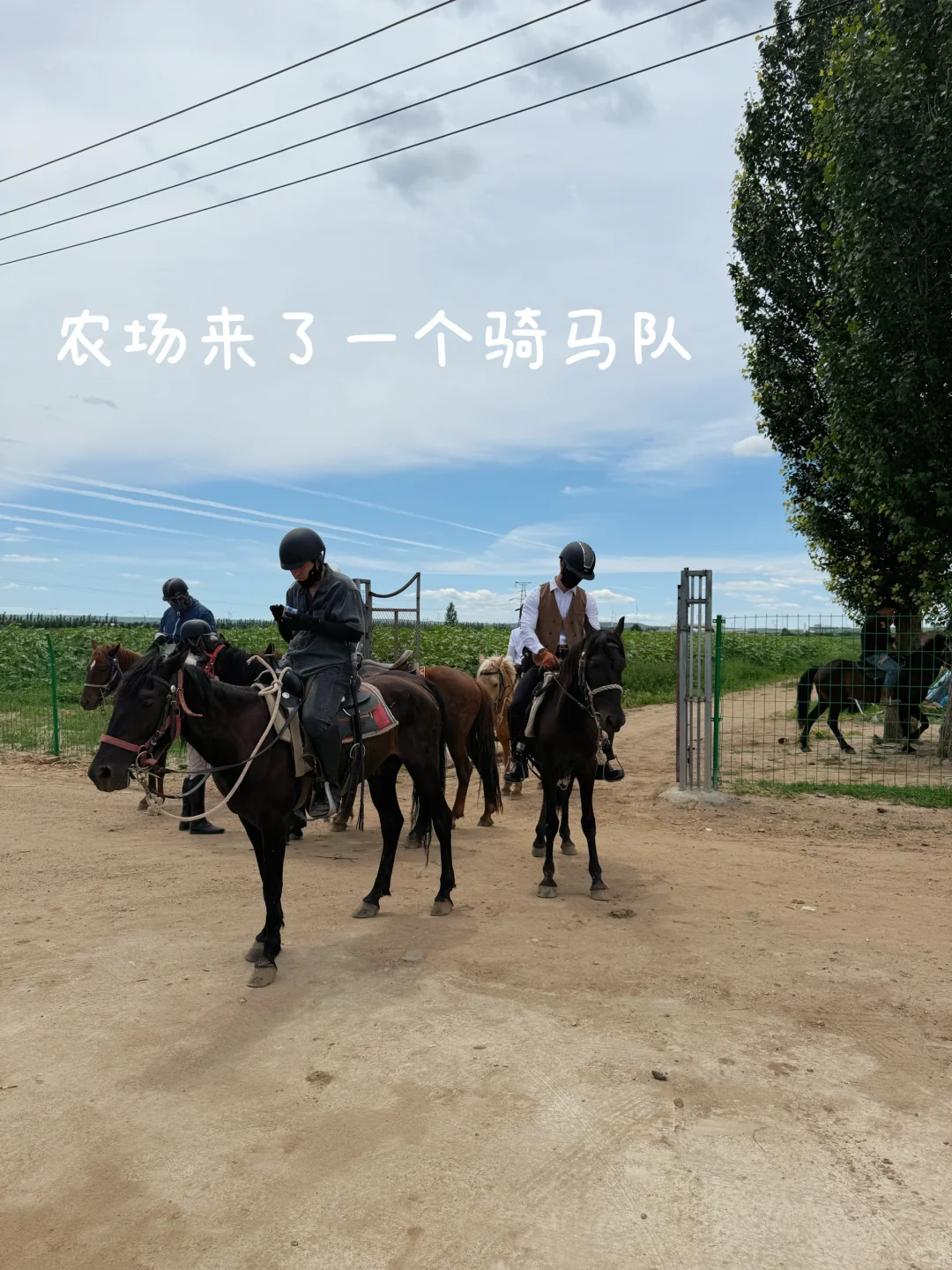 ʵQQũ