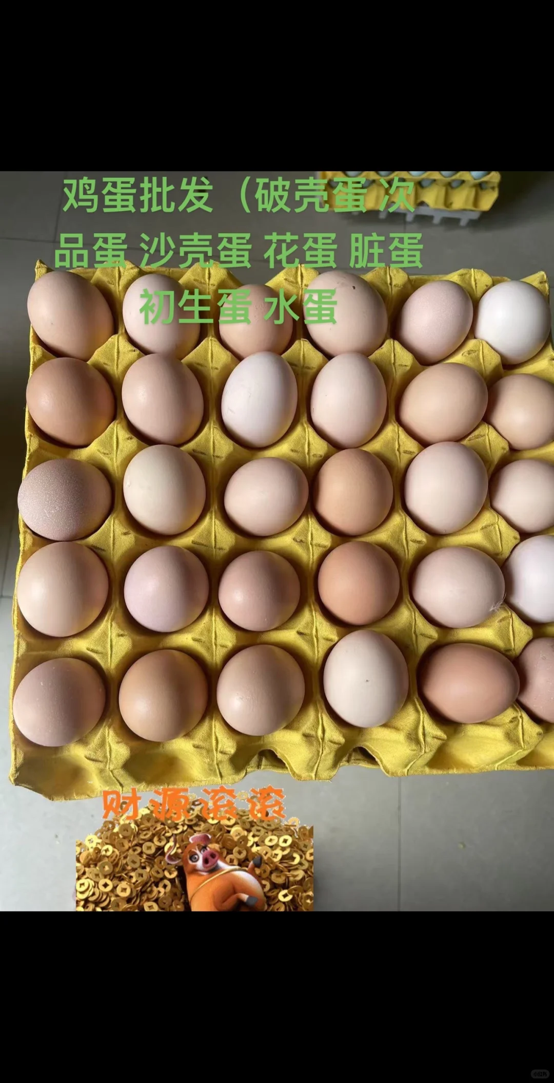 ʼ ֱ
