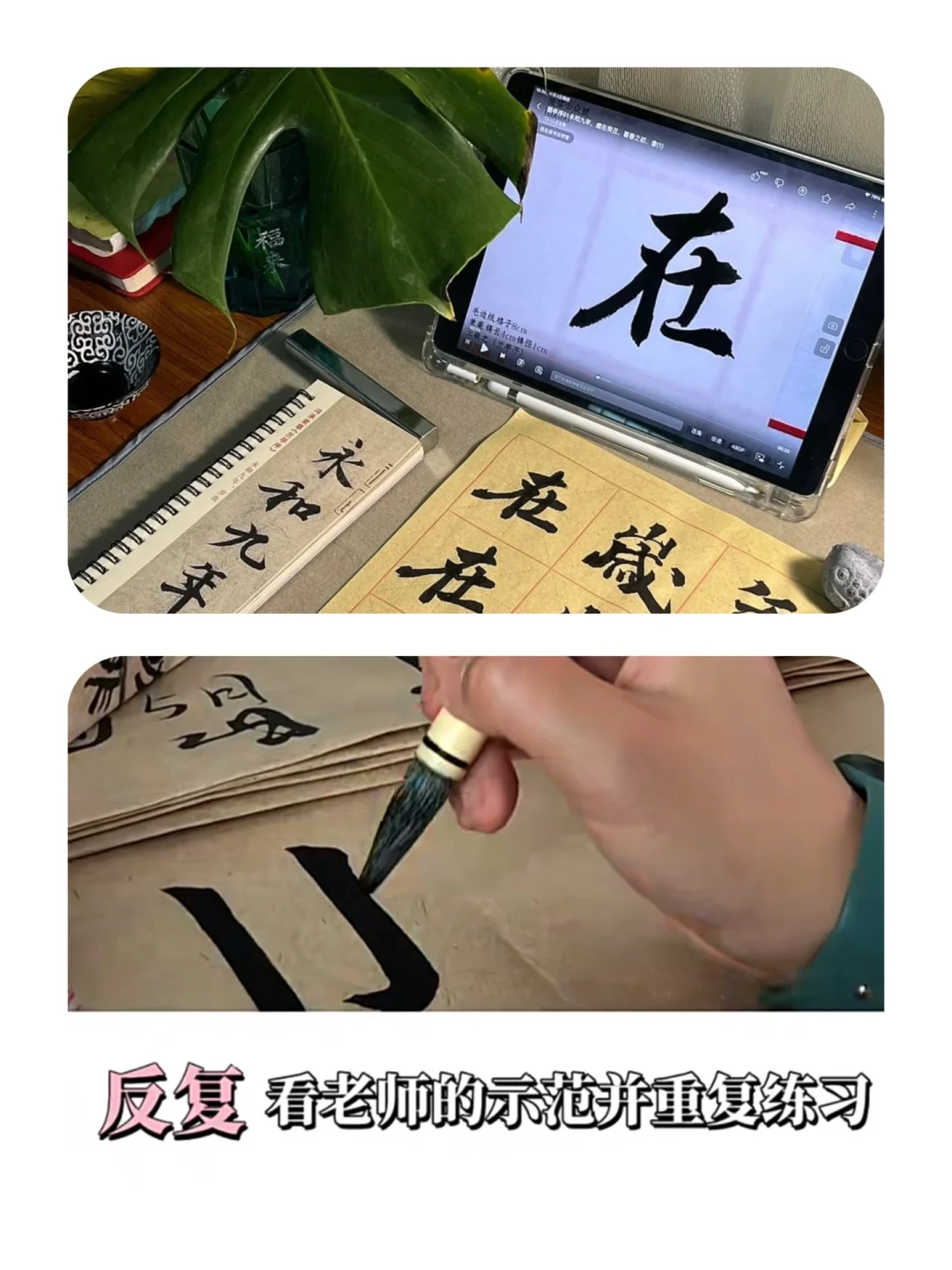 ѧ鷨Ҷܽ