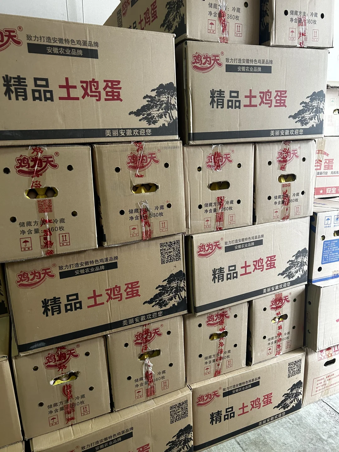 ̫ʵ˰ɣ