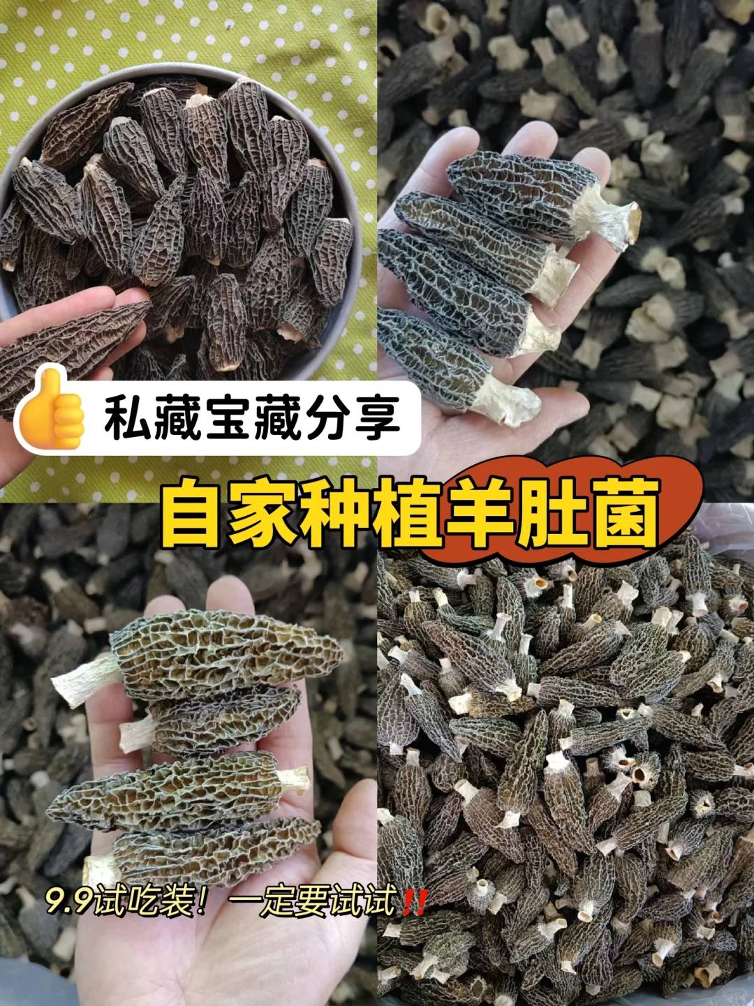 ˭׬ǾǮ?ֱ