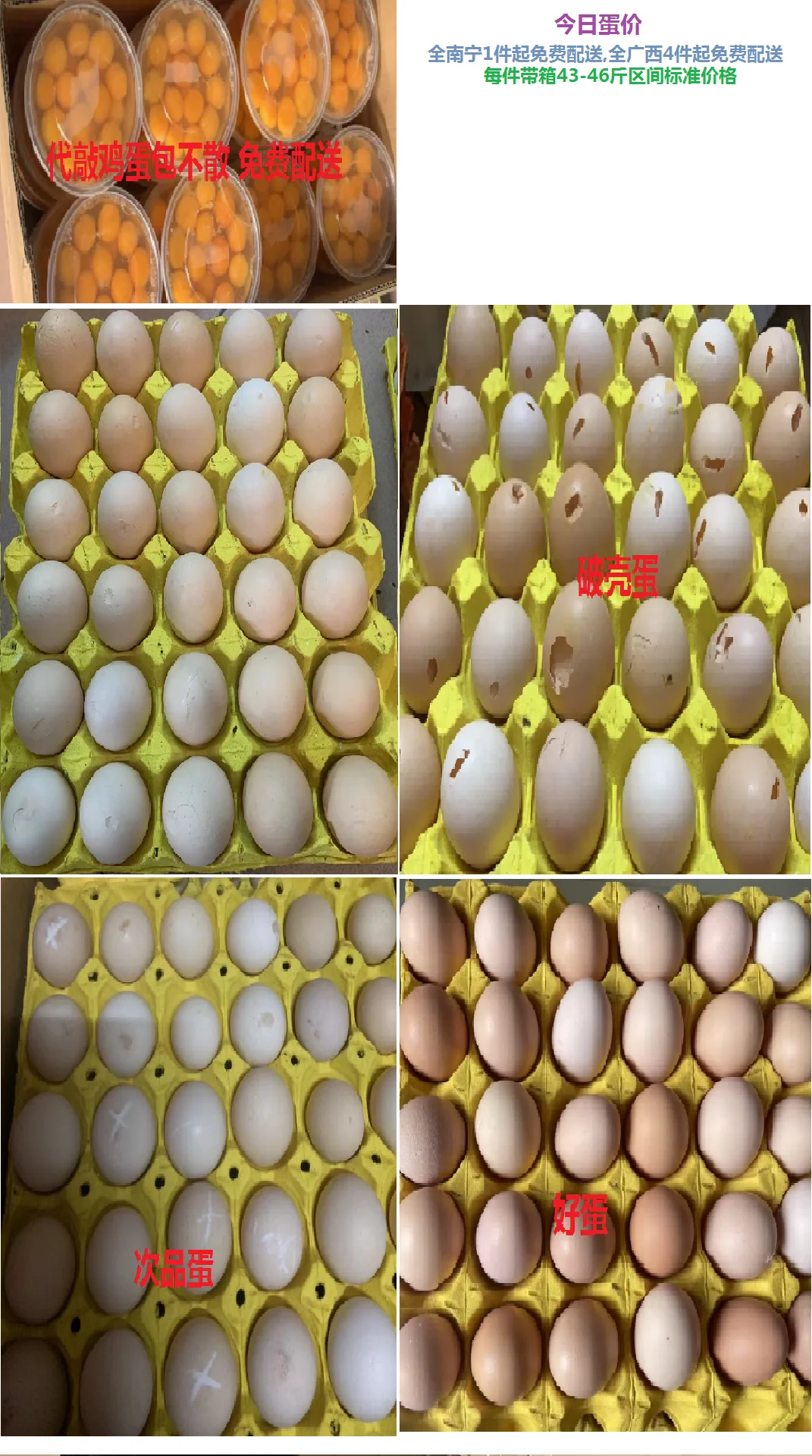 ʼ ֱ
