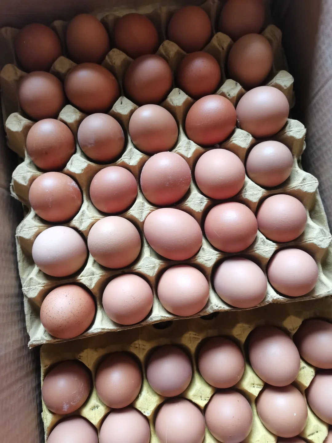 ̣ϳȫ