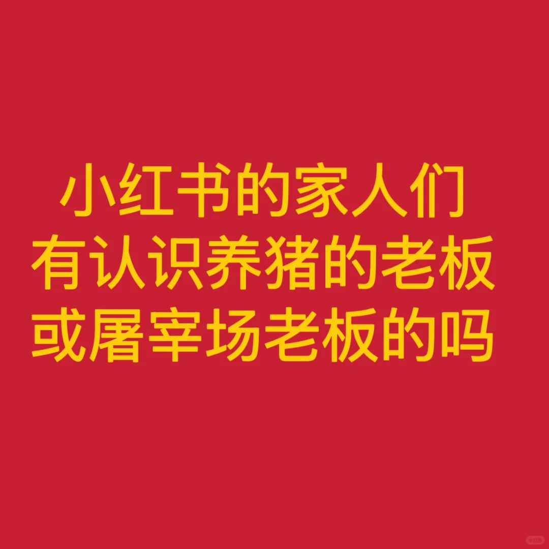 ֳ׳