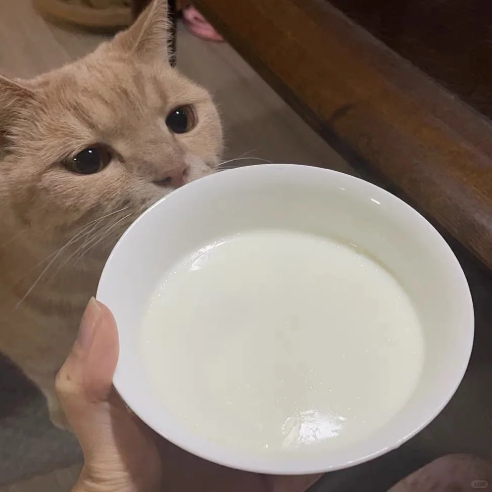 Сɹһ