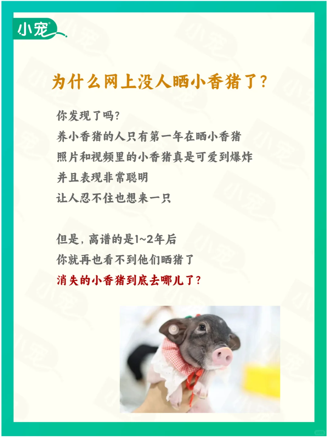 һʱСô㡱ˣ