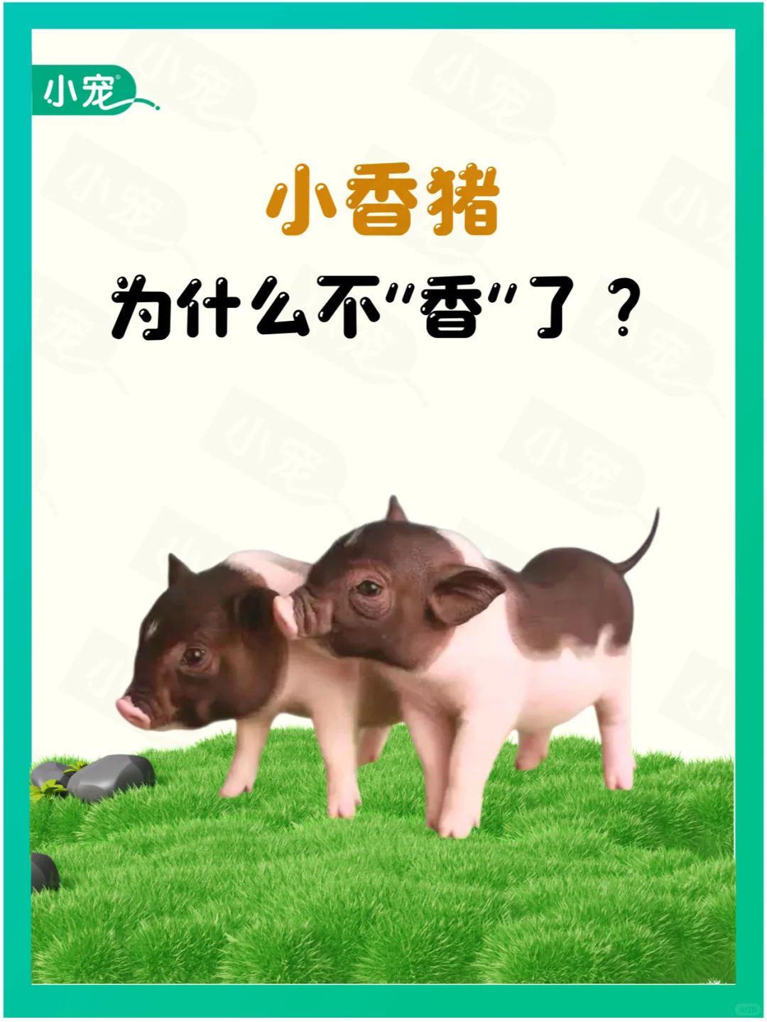 һʱСô㡱ˣ