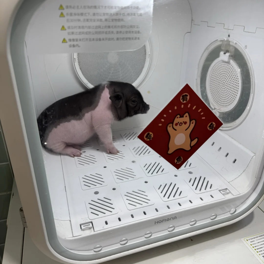 С?ٿ