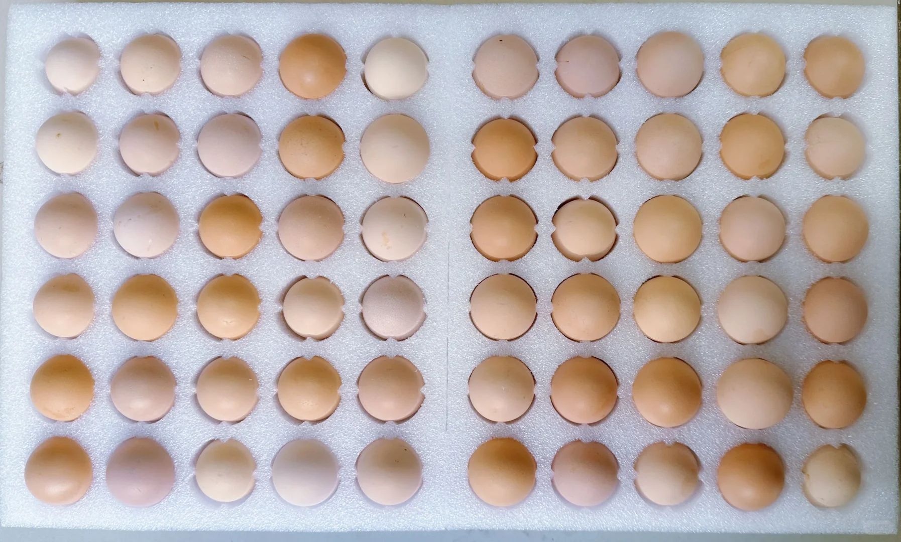 30öԼ۱