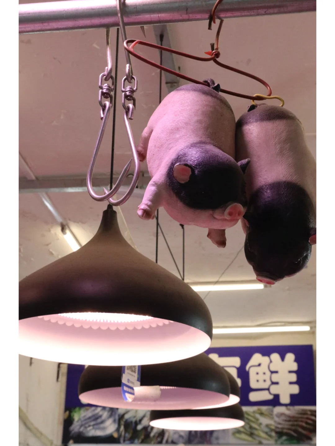 一个吊着两头小小?的猪肉店