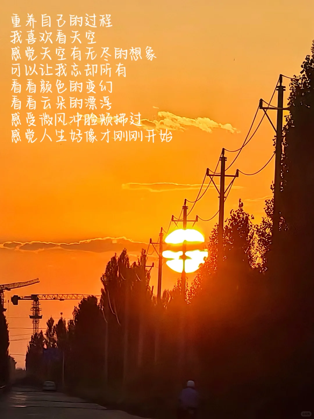 33ҾԼһ
