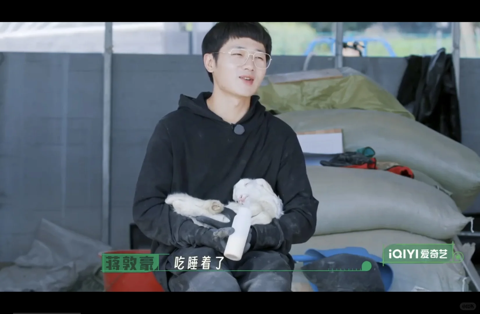 小羊直接在敦敦怀里睡着了,萌化了都。