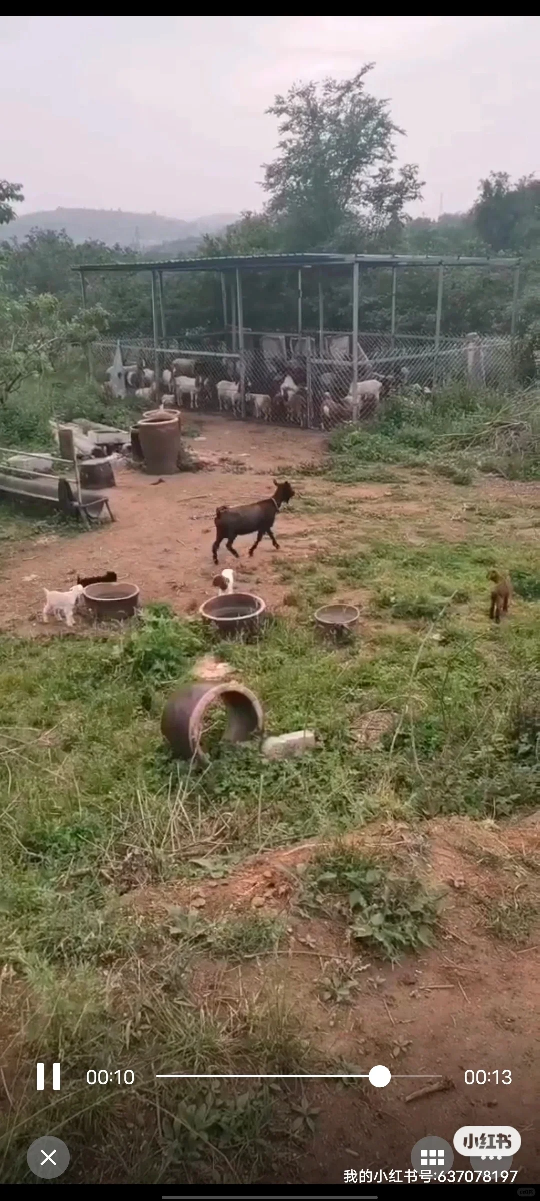 ~