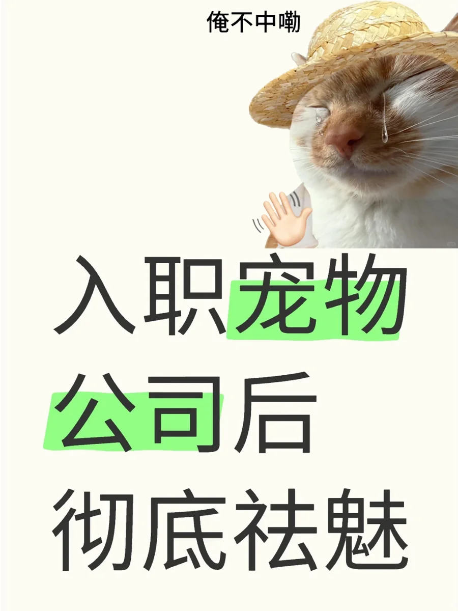 ְ﹫˾ 