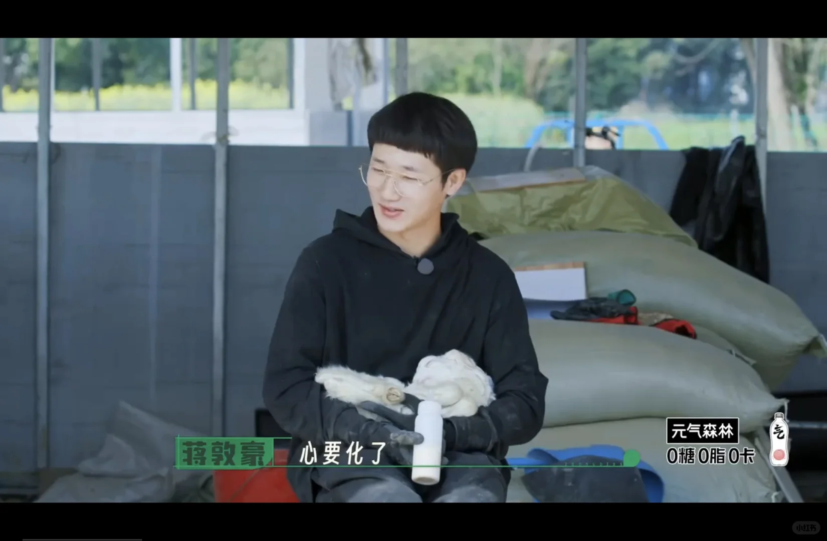 小羊直接在敦敦怀里睡着了,萌化了都。