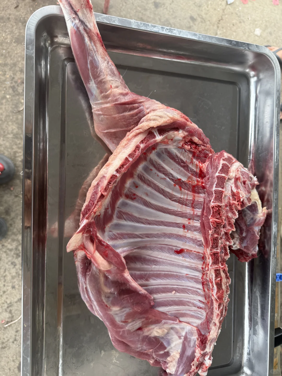 ҵĵһȥˣֻڶ