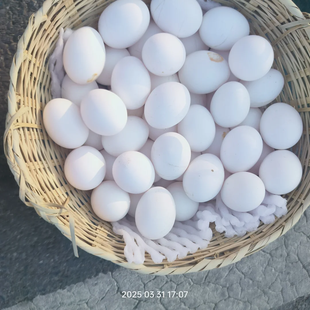 Ӫ