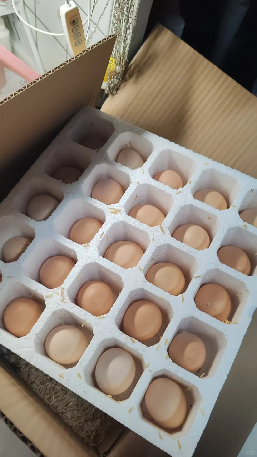 ڵļװ