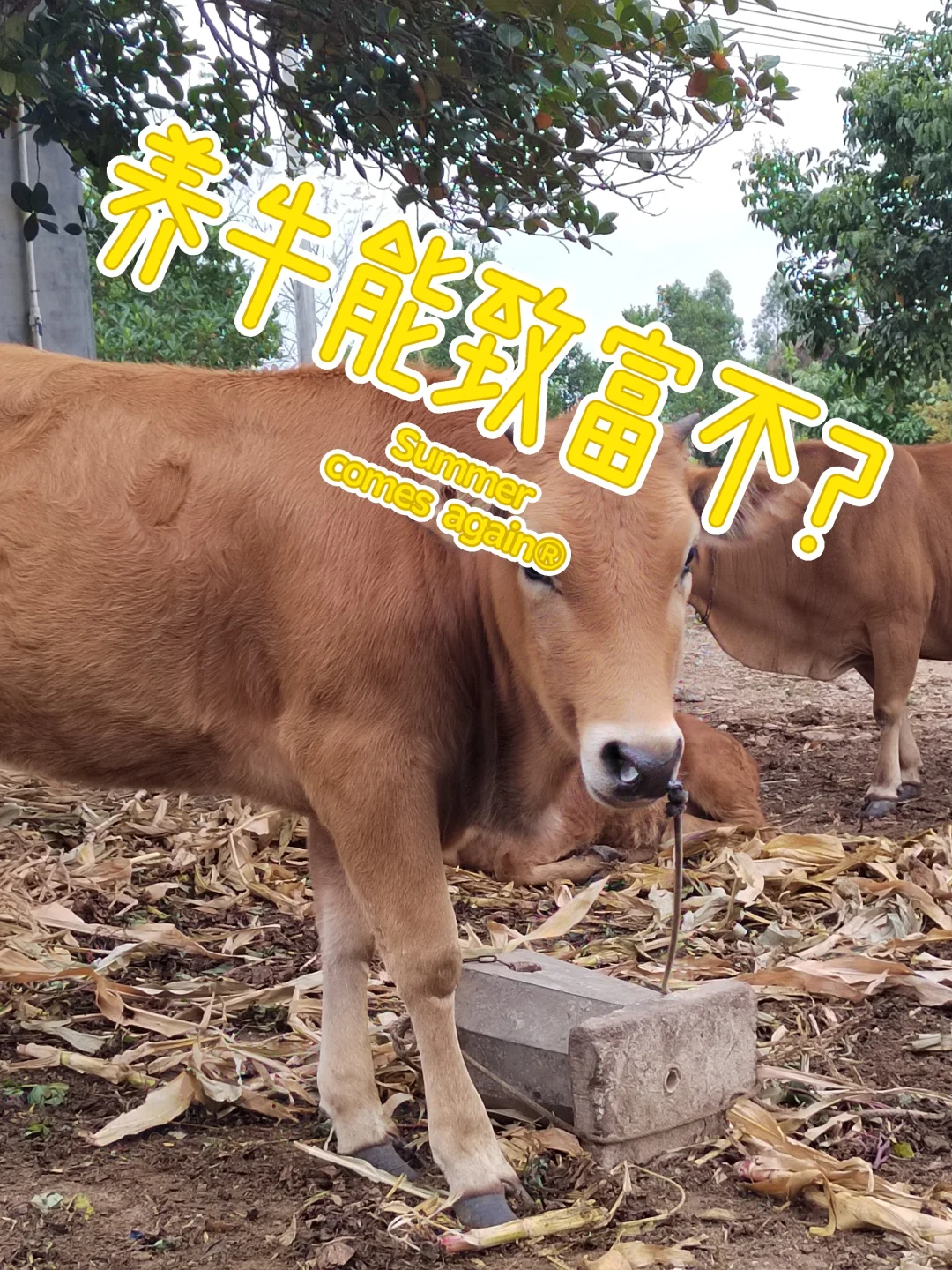 ũţ¸𣿺СʱͷŹʮ
