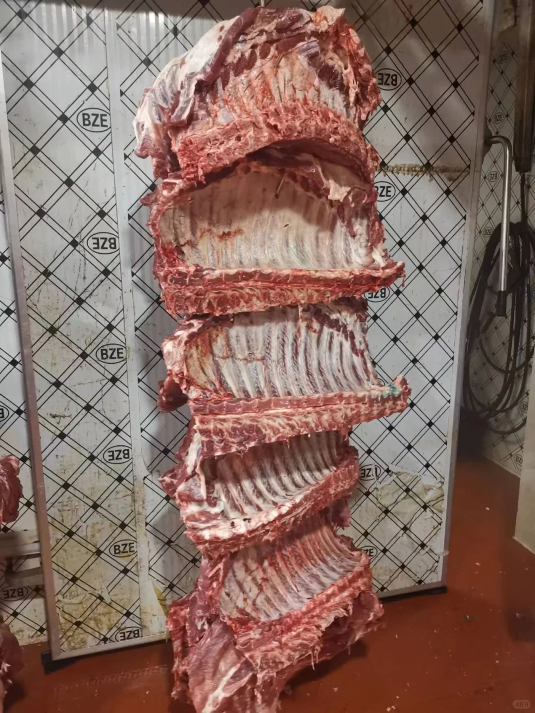 ʻ