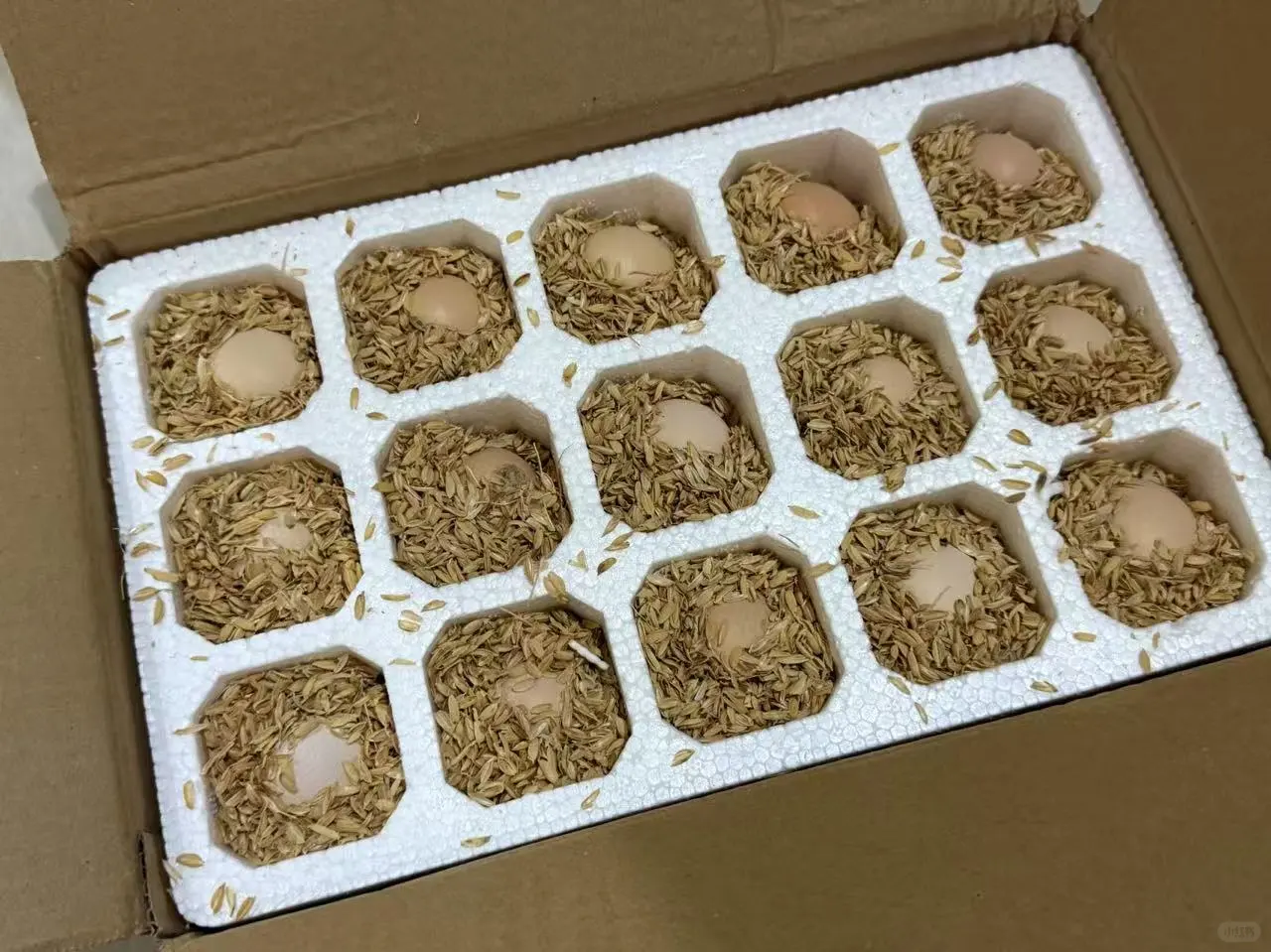 ڵļװ