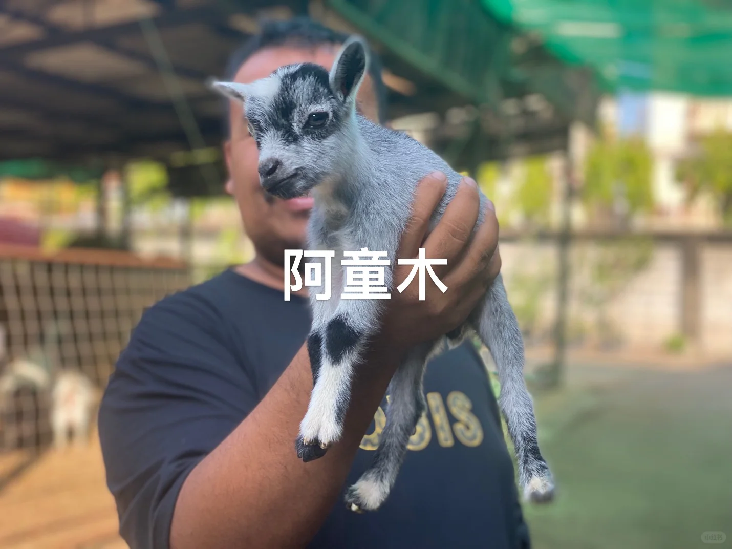 ٪ɿɰ