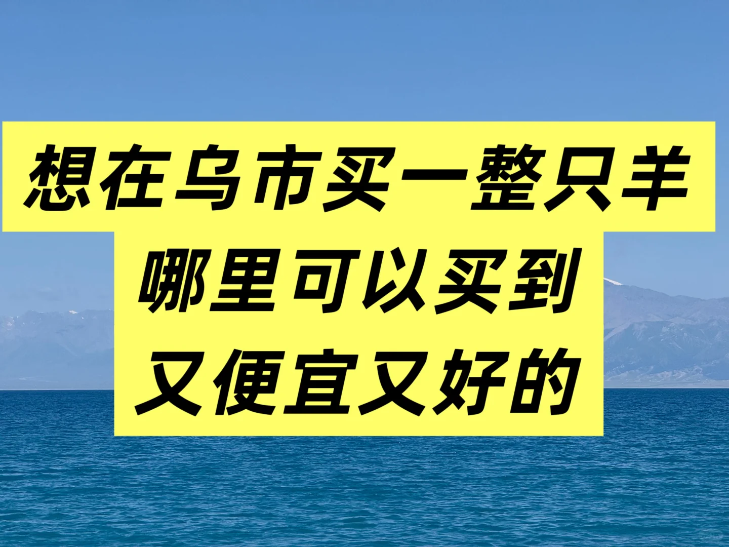 һֻ