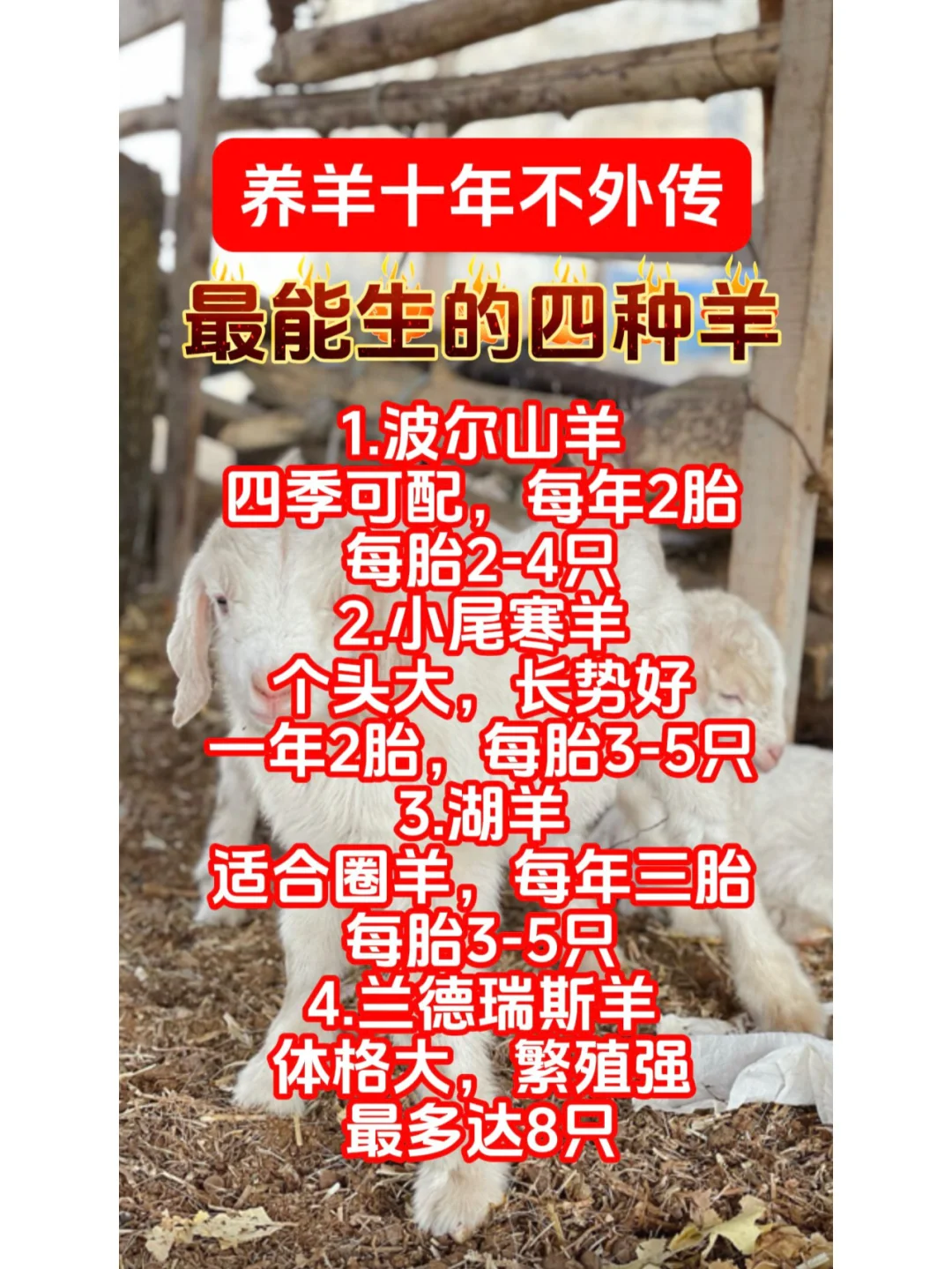 ֪