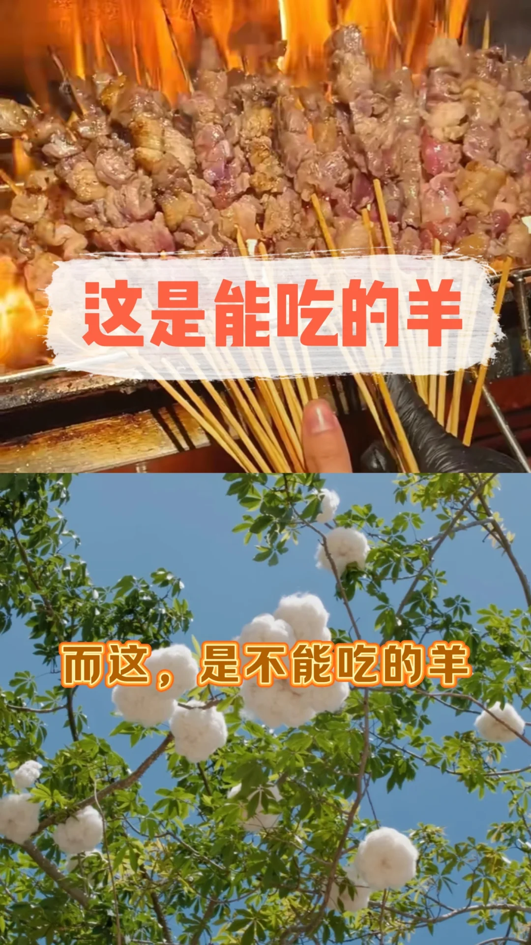 ᣿㶫СȻϵģ