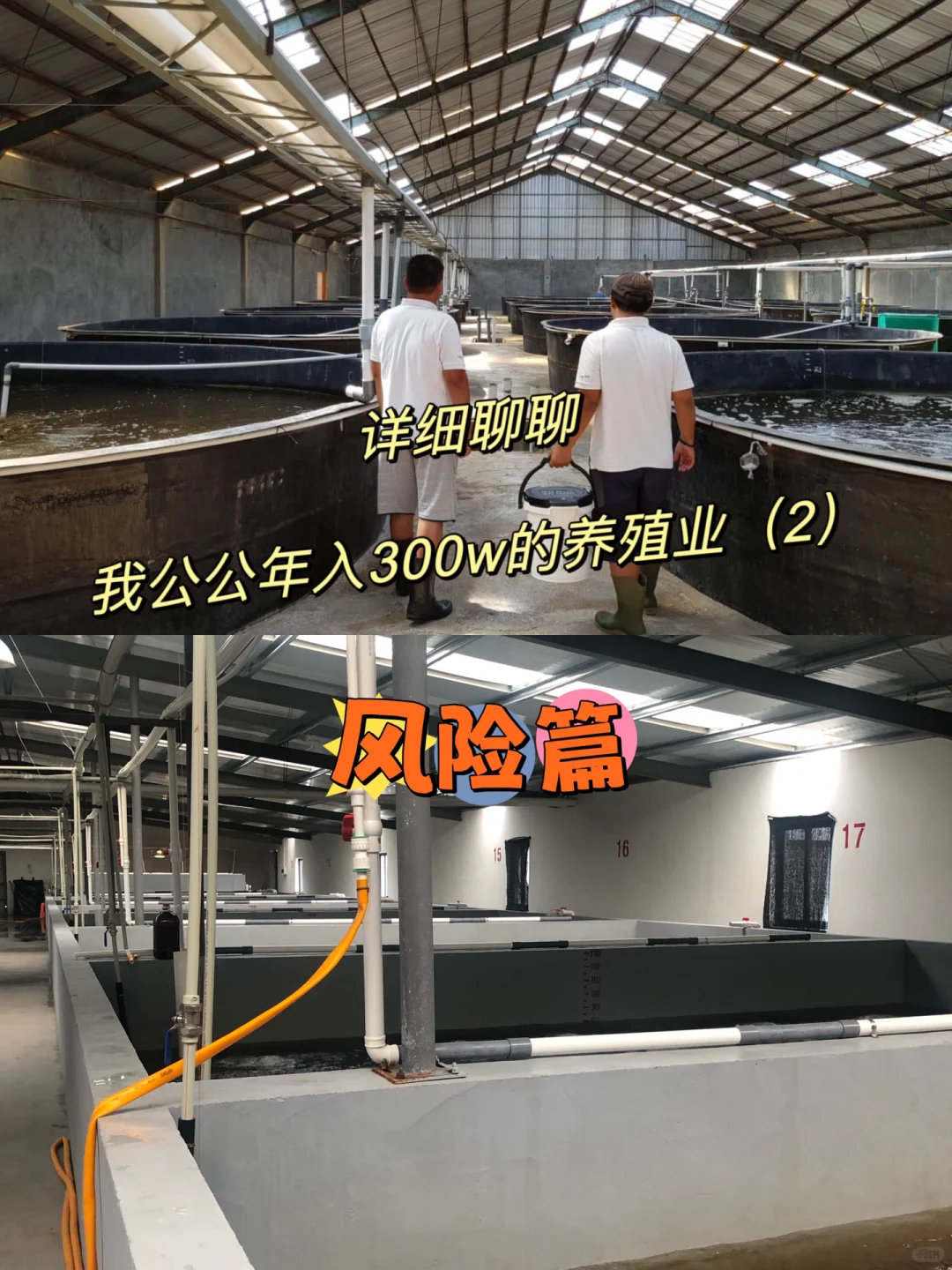 跢ʷֳ֮ҵ2