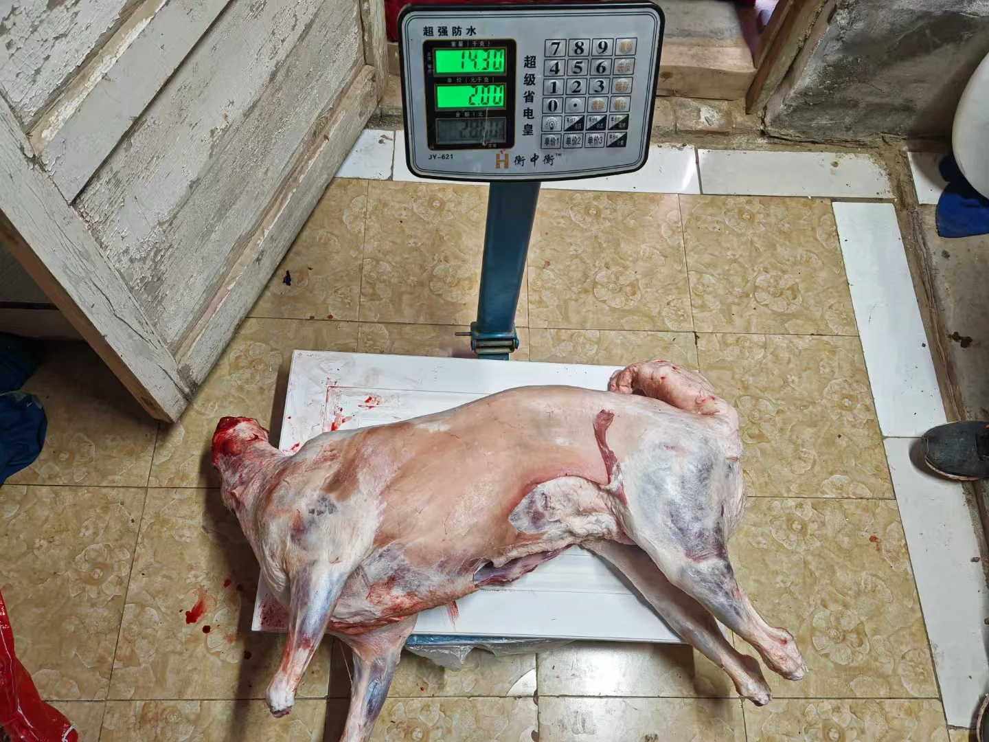 ȥ