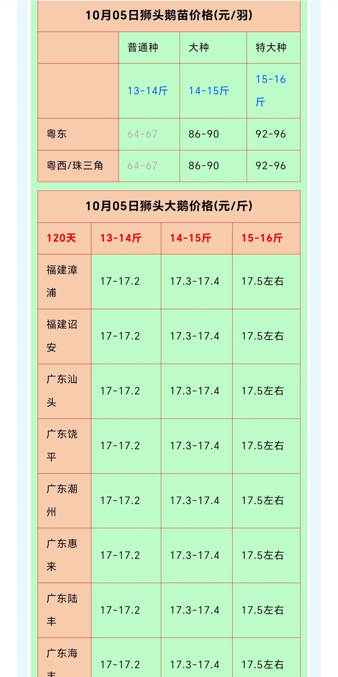 10/5¶ˣ
