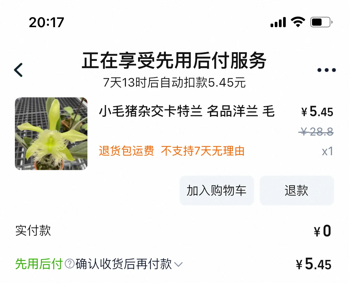 5ԪǮĿɫСë