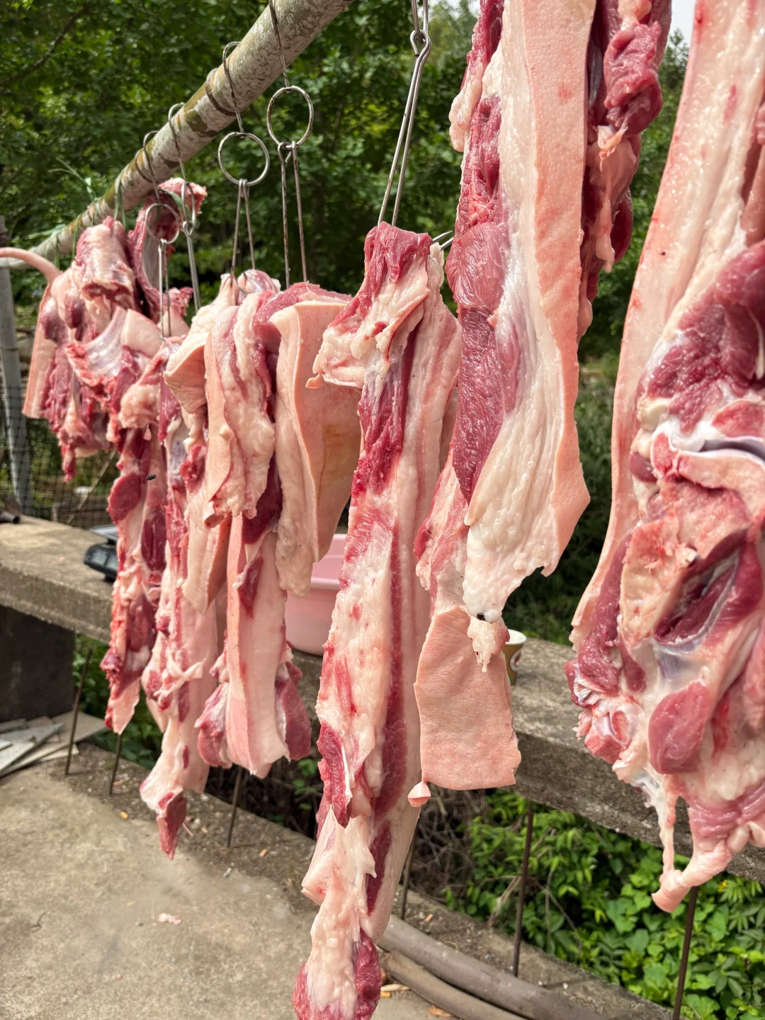 什么样的猪肉,敢卖40一斤?