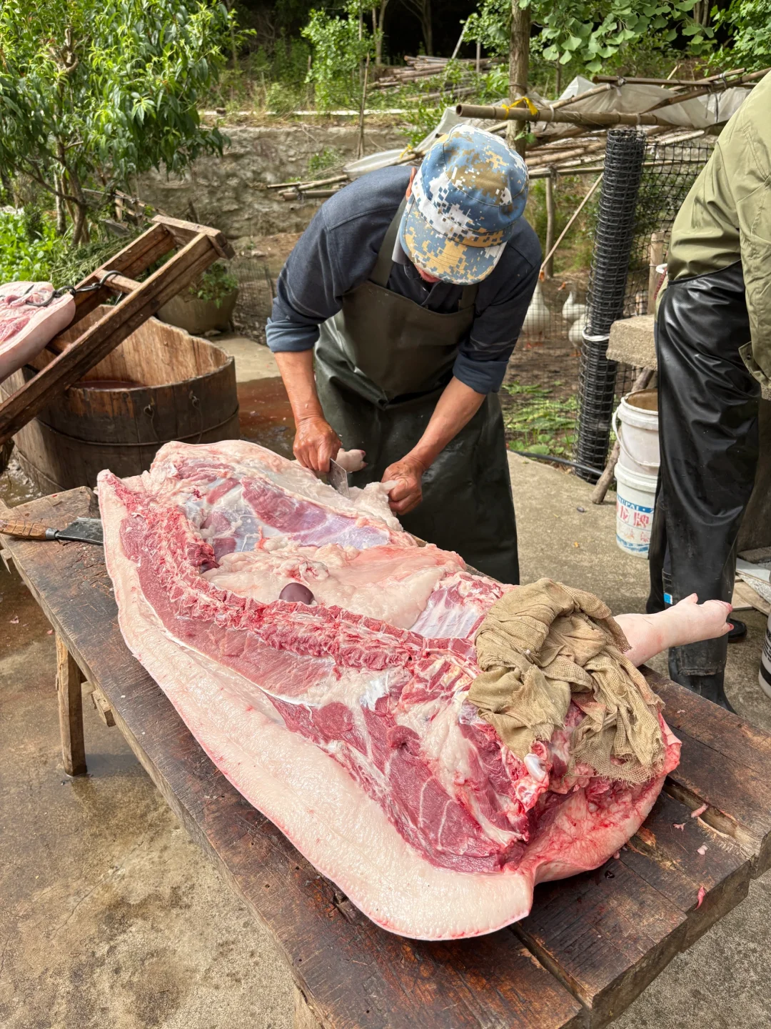 什么样的猪肉,敢卖40一斤?