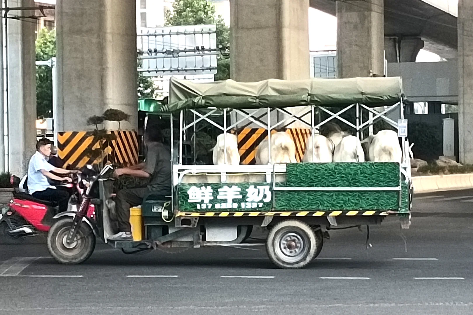 ôӲ۶