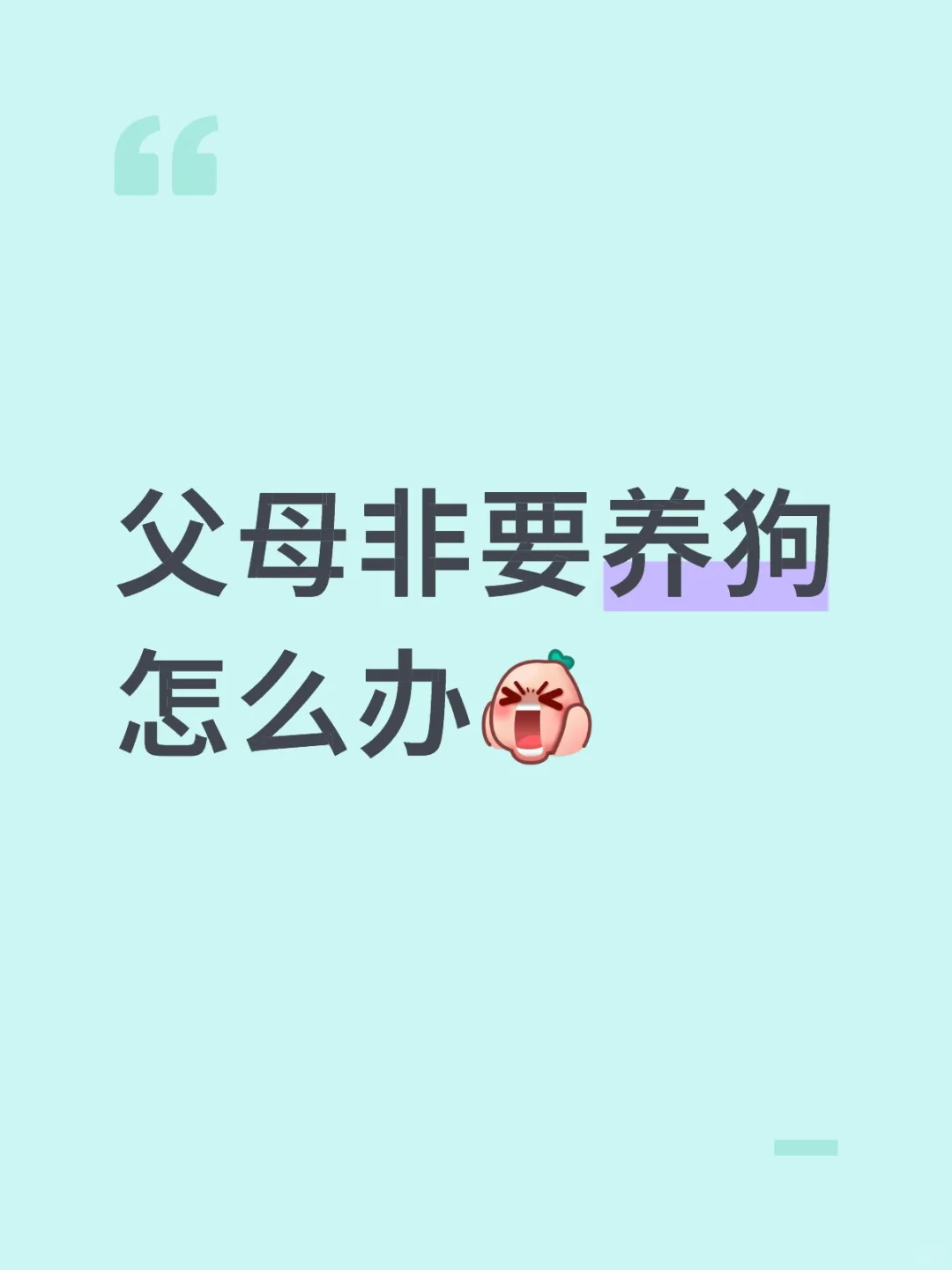 Ҳڼ͵͵
